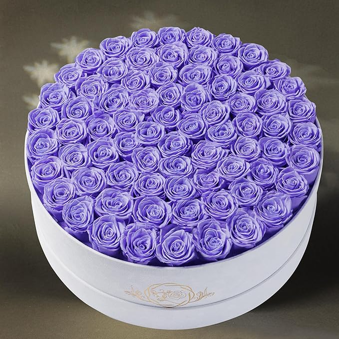 75 Preserved Roses in Suede Box – Luxury Rose Flower Arrangement, Preserved Flowers Gifts for Women, Wife or Mom – Birthday, Anniversary, Valentine’s Day, Mother's Day (Lavender)