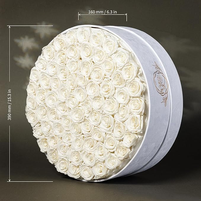75 Preserved Roses in Suede Box – Luxury Rose Flower Arrangement, Preserved Flowers Gifts for Women, Wife or Mom – Birthday, Anniversary, Valentine’s Day, Mother's Day (White)