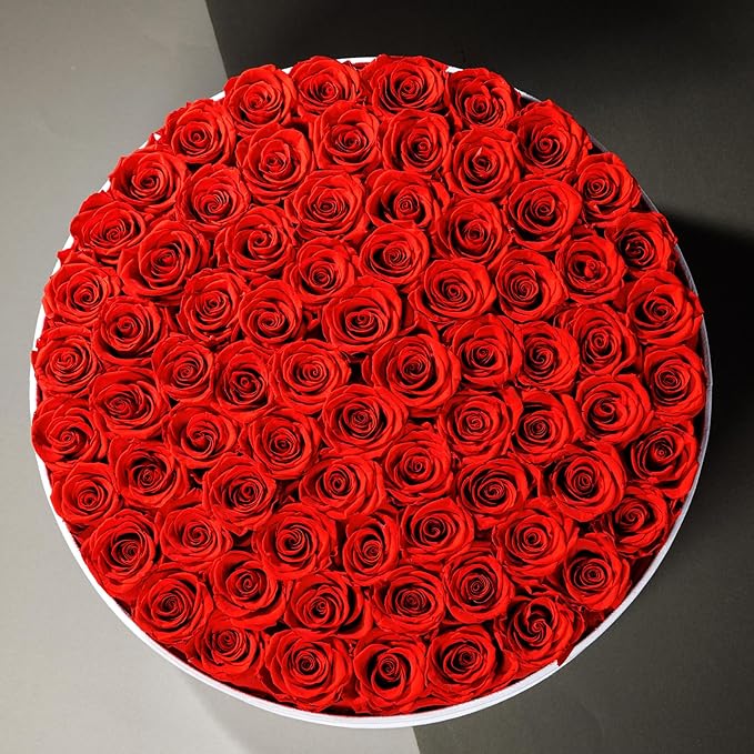 75 Preserved Roses in Suede Box – Luxury Rose Flower Arrangement, Preserved Flowers Gifts for Women, Wife or Mom – Birthday, Anniversary, Valentine’s Day, Mother's Day (Red)