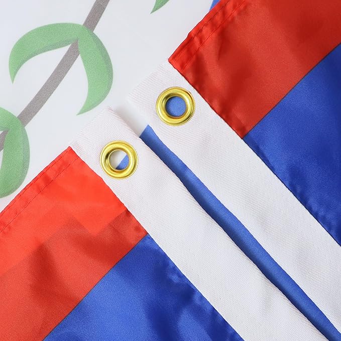 AZ FLAG Set of 10 Belize Flags – 90 x 60 cm – 100% Polyester Belize Flag with Integrated Metal Eyelets