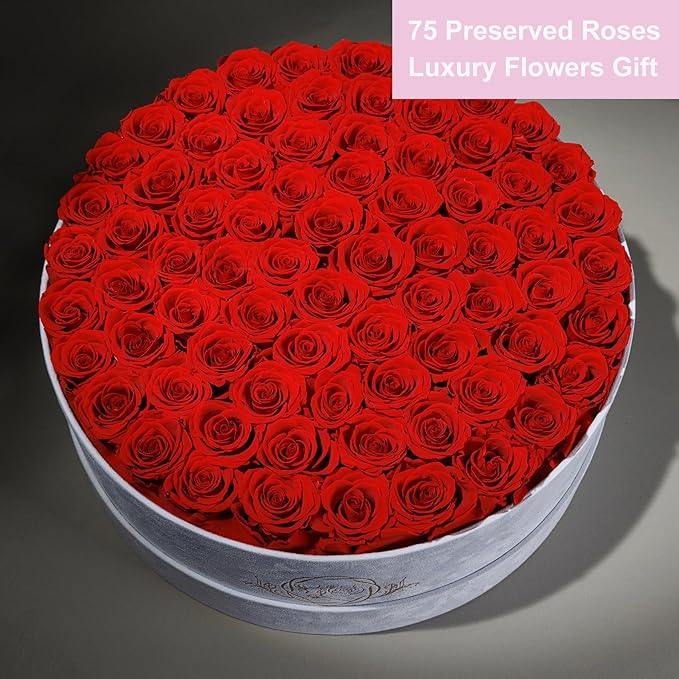 75 Preserved Roses in Suede Box – Luxury Rose Flower Arrangement, Preserved Flowers Gifts for Women, Wife or Mom – Birthday, Anniversary, Valentine’s Day, Mother's Day (Red)