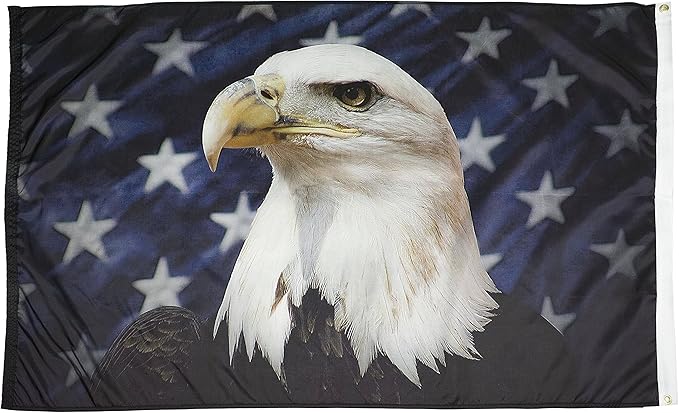 FlagSource Starfield Eagle Nylon Decorative Flag, Made in The USA, 3x5'