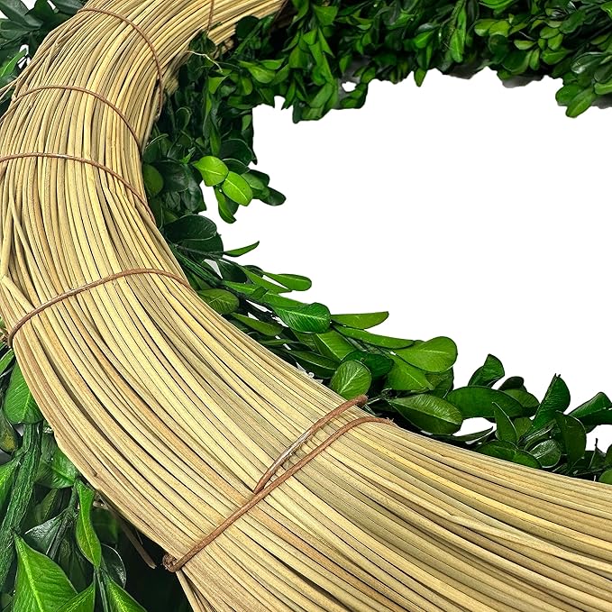 Galt International 21" Naturally Preserved Boxwood Fall Wreath – Fall, Thanksgiving & Christmas Front Door Decoration, Year Round Holiday Home Décor Accent