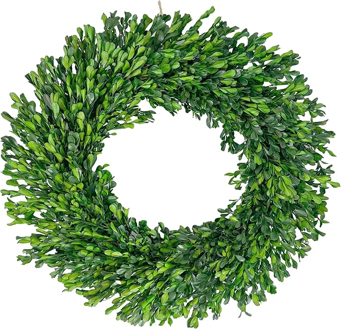 Galt International 21" Naturally Preserved Boxwood Fall Wreath – Fall, Thanksgiving & Christmas Front Door Decoration, Year Round Holiday Home Décor Accent
