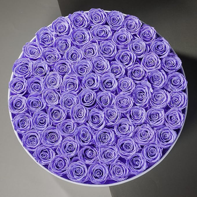 75 Preserved Roses in Suede Box – Luxury Rose Flower Arrangement, Preserved Flowers Gifts for Women, Wife or Mom – Birthday, Anniversary, Valentine’s Day, Mother's Day (Lavender)