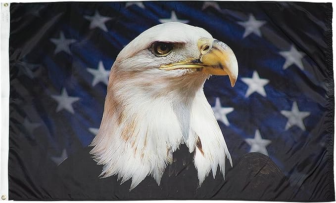 FlagSource Starfield Eagle Nylon Decorative Flag, Made in The USA, 3x5'