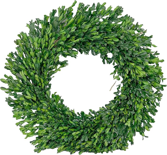 Galt International 21" Naturally Preserved Boxwood Fall Wreath – Fall, Thanksgiving & Christmas Front Door Decoration, Year Round Holiday Home Décor Accent