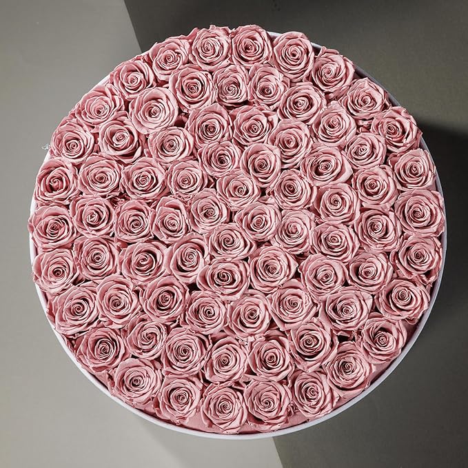 75 Preserved Roses in Suede Box – Luxury Rose Flower Arrangement, Preserved Flowers Gifts for Women, Wife or Mom – Birthday, Anniversary, Valentine’s Day, Mother's Day (Dusty Rose)