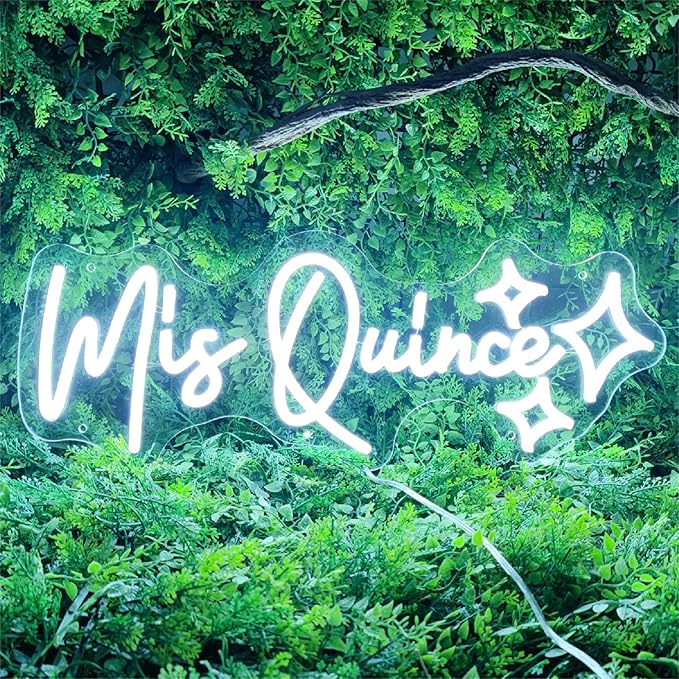 Mis Quince Neon Sign for Wall Decor,Happy Birthday Neon Signs for Bedroom Wall with Dimmable Switch for Any Age Children's Room, Bar, Party, Christmas, Wedding Decoration,43 * 16.4cm