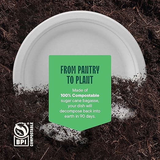 100% Compostable Paper Plates 10 Inch Bulk [500 Count] Heavy-Duty Dinner Plates - Natural White Color Unbleached Bagasse - Eco-Friendly Disposable Biodegradable Sugarcane Plates - [Case 4/125 Pack]