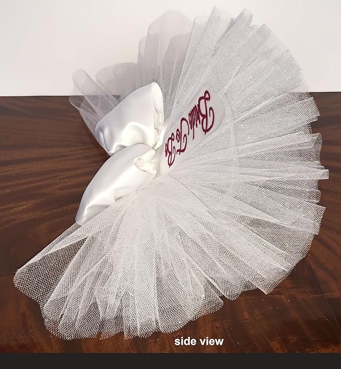 Bridal Shower Booty Veil, Booty Cover, Bikini Veil