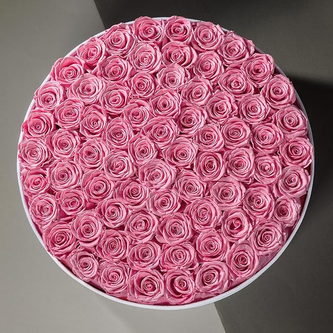 75 Preserved Roses in Suede Box – Luxury Rose Flower Arrangement, Preserved Flowers Gifts for Women, Wife or Mom – Birthday, Anniversary, Valentine’s Day, Mother's Day (Pink)