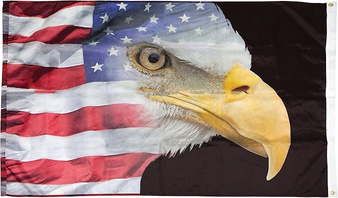 FlagSource U.S. Flag with Eagle Nylon Decorative Flag, Made in The USA, 3x5'