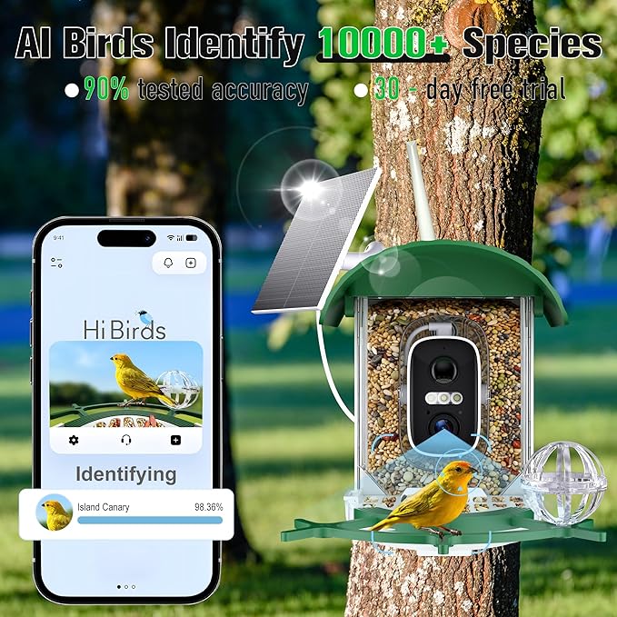 Bird Feeder with Camera 3W Solar Powered Panel Valentines Day Gifts: Smart Bird Feeder for Outdoors with AI Birds Identify Auto Capture, 2K Live Video, Ideal Gift for Parents Men Women(Green)