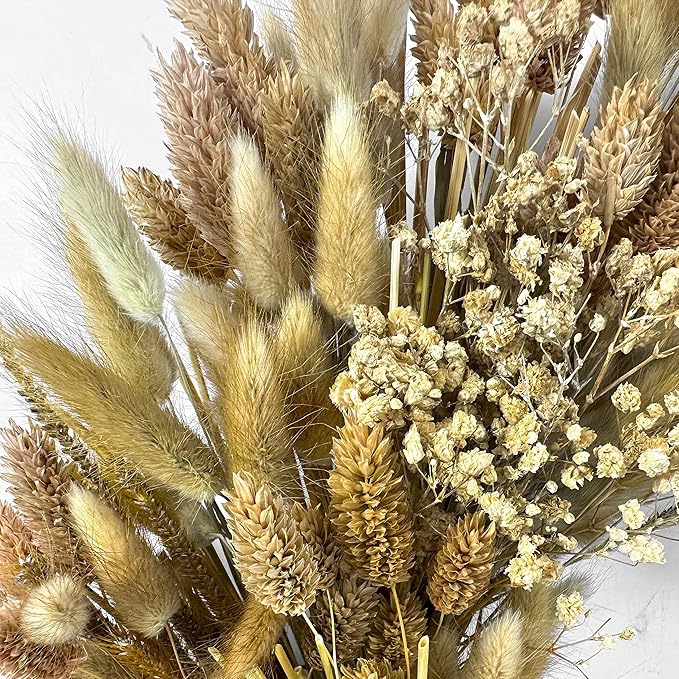 Galt International 21" Preserved Golden Natural Dried Lush Wheat Autumn Fall Wreath - Straw Wreath for Front Door Farmhouse Harvest Thanksgiving Decorations Home Decor Pampas