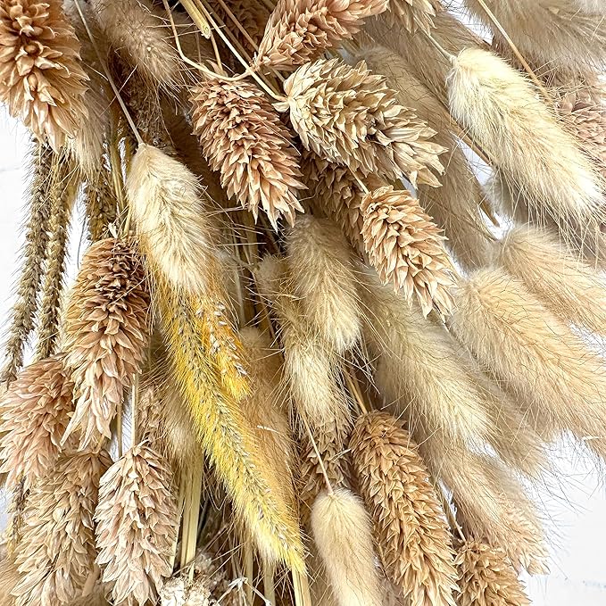 Galt International 21" Preserved Golden Natural Dried Lush Wheat Autumn Fall Wreath - Straw Wreath for Front Door Farmhouse Harvest Thanksgiving Decorations Home Decor Pampas